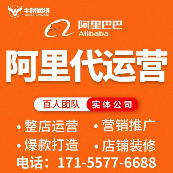 日照电商代运营