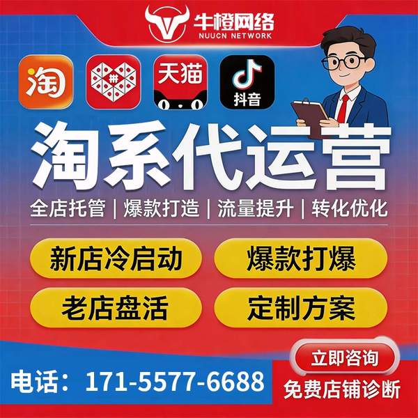 日照电商代运营