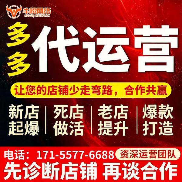 日照电商代运营