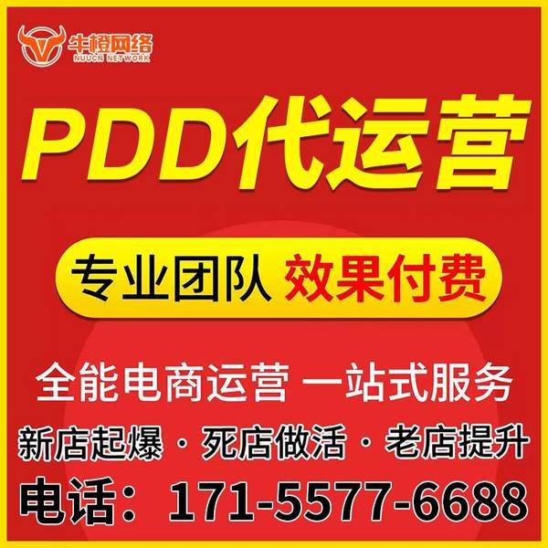 日照电商代运营