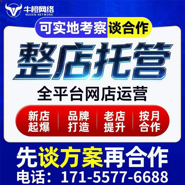 日照电商代运营