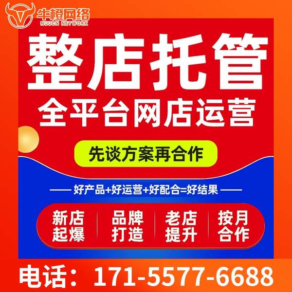 日照电商代运营