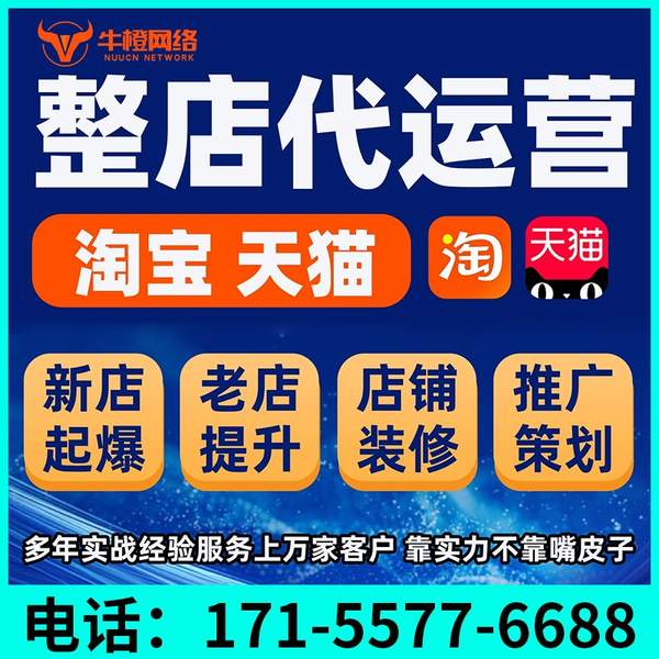 日照电商代运营