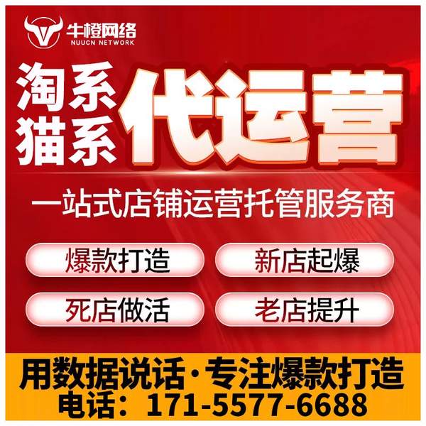 日照电商代运营